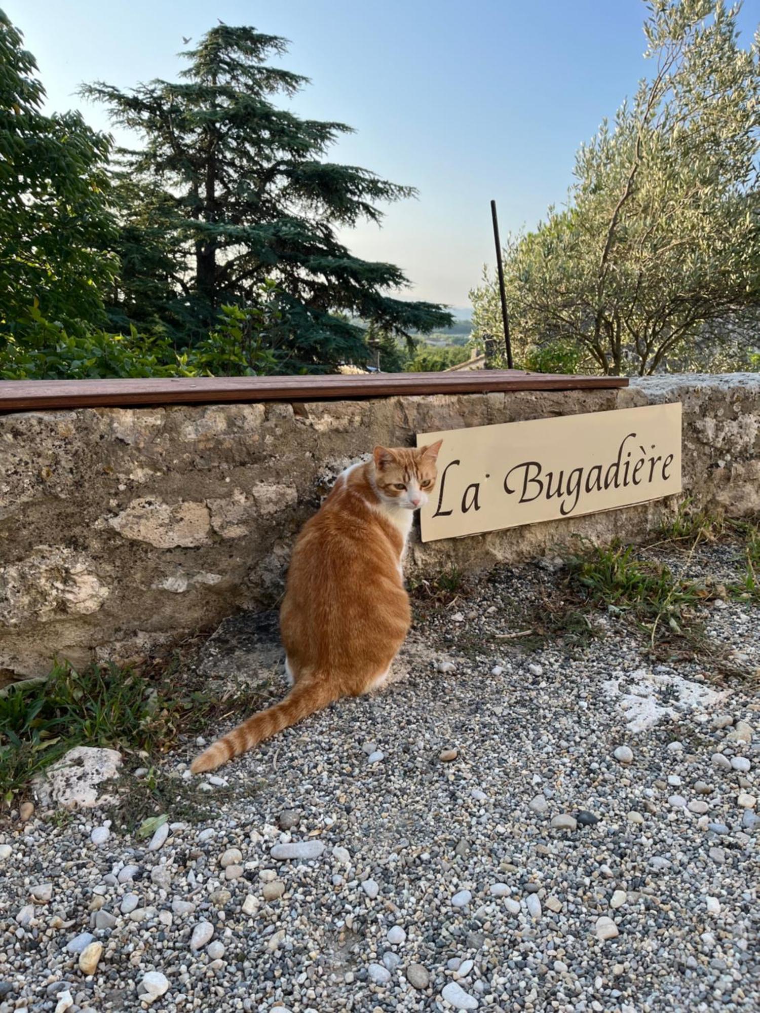 La Bugadiere Salles-sous-Bois Bagian luar foto